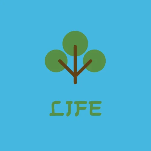 在Canva設計的圖案