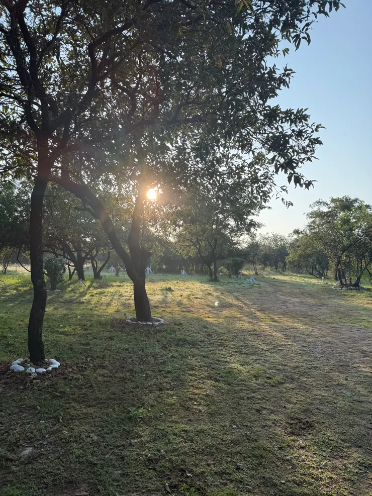 下午在camp裡散步的美麗夕照