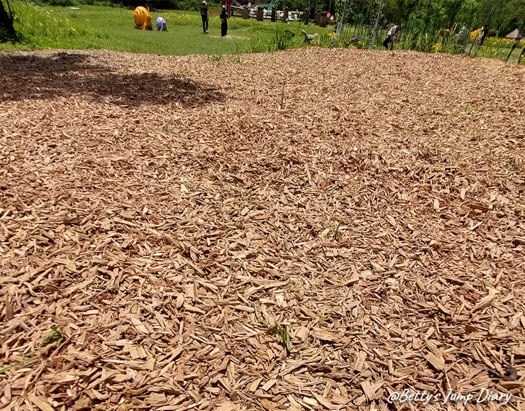 ▲2025花現台七「桃園繡球金針農遊趣」/ 圖片來源：Betty's Jump Diary