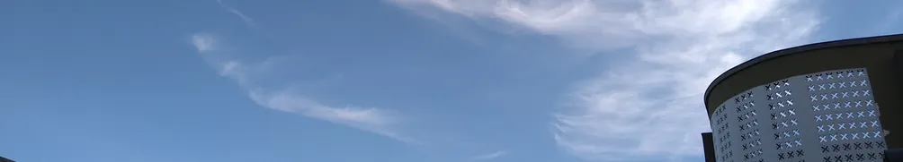 散步的貓的沙龍