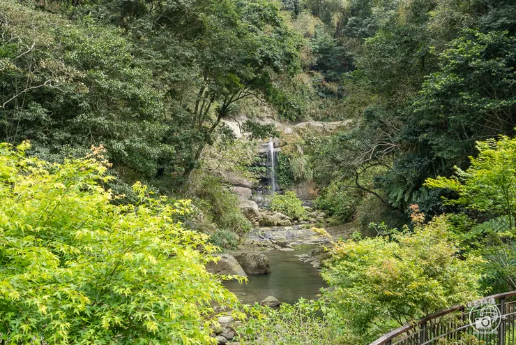 圓潭自然生態園區,圓潭生態園區,圓潭,嘉義景點,梅山景點,瑞里景點,嘉義,登山步道,戶外休閒,嘉義IG打卡