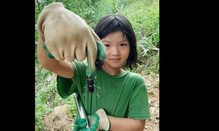 圖取自華音山莊臉書,務農的下一代孩子不怕蟲。大蟲同時代表著旺盛的生命。本女主手上拿著鋤頭,務農不分男女!