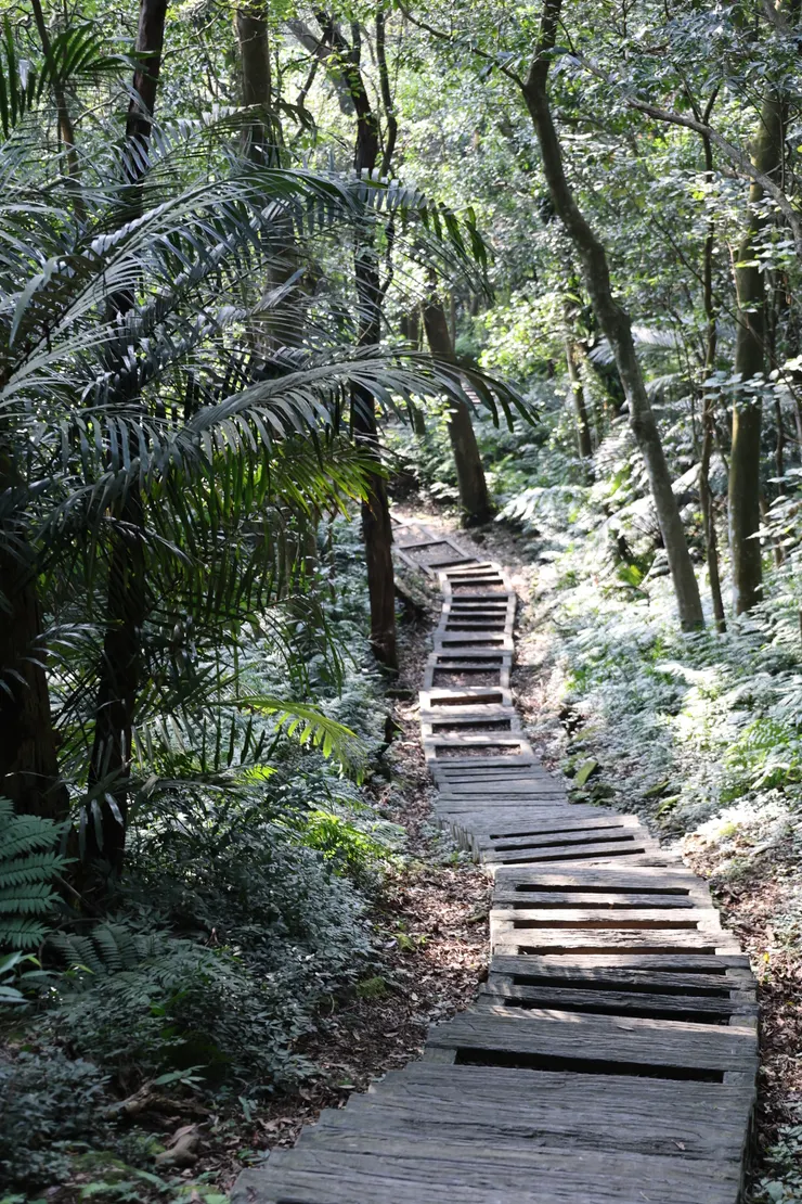 膝蓋不友善的大成殿步道