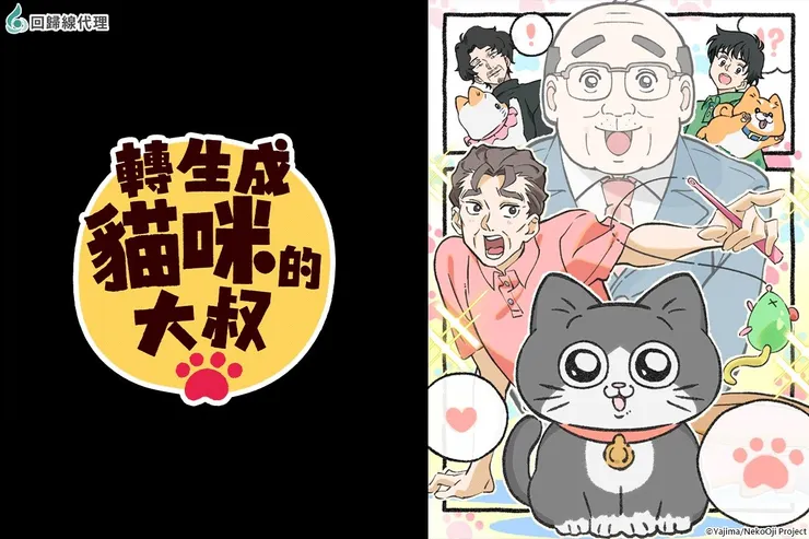 感謝代理可愛的貓貓動畫。