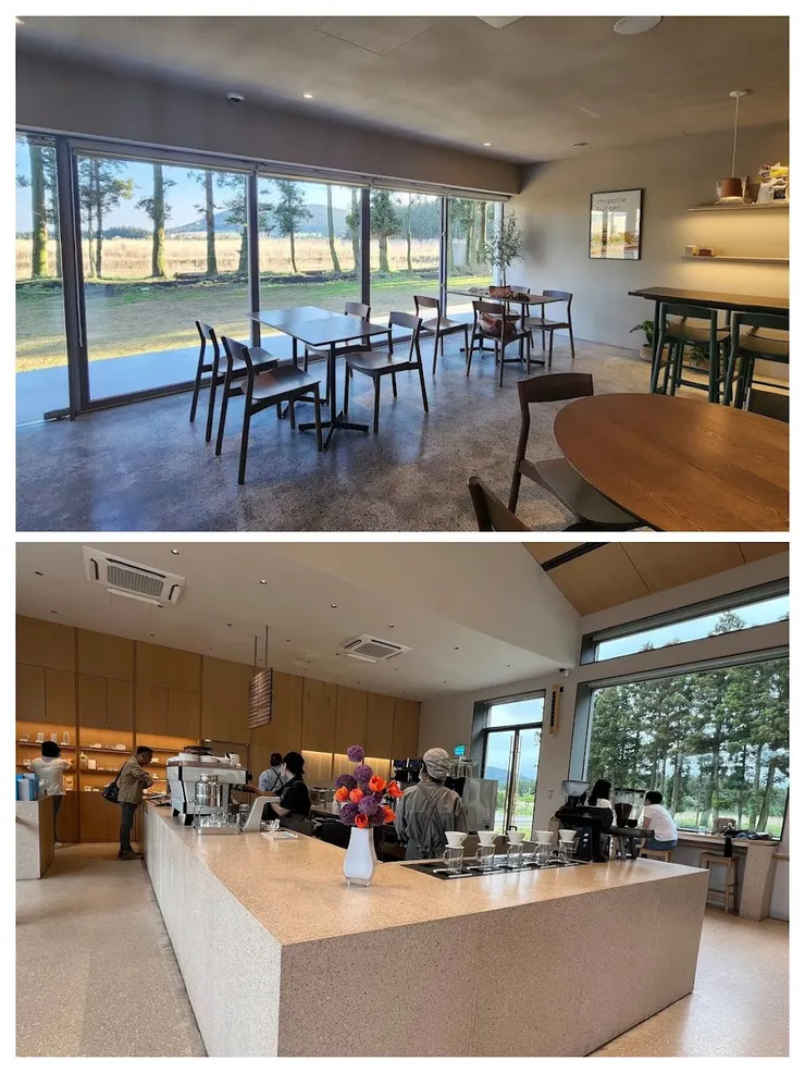 空間挑高擺設採簡約風格