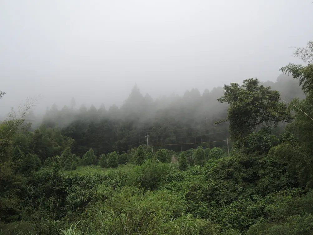 煙波書客的小書房