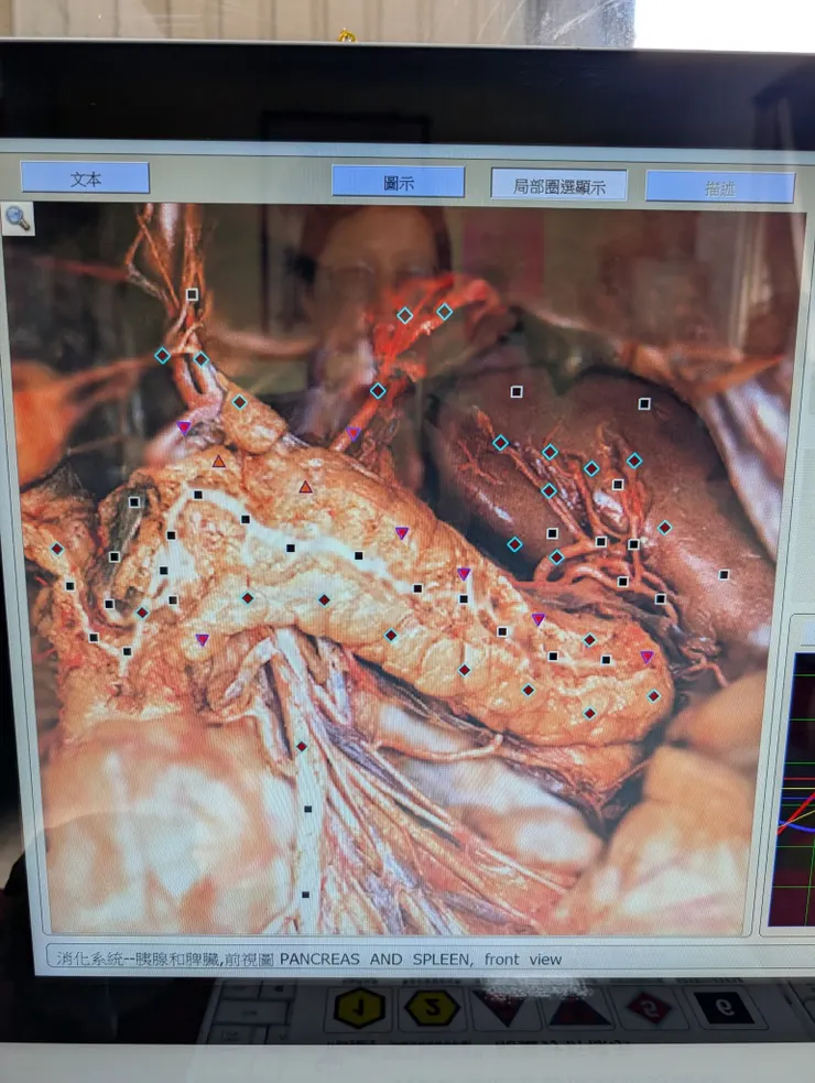 脾胃狀態也很差 應該是濕氣太重了