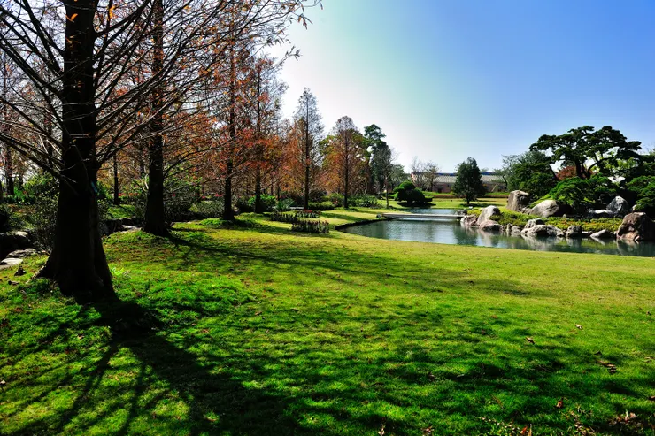 和園下池與近鄰的落羽松步道，2016年攝。