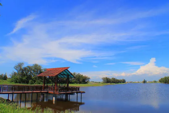 椬梧滯洪池(圖片截圖於網路)