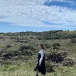 Wendie Lian的沙龍