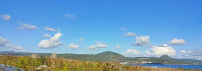 九月愚人～的沙龍