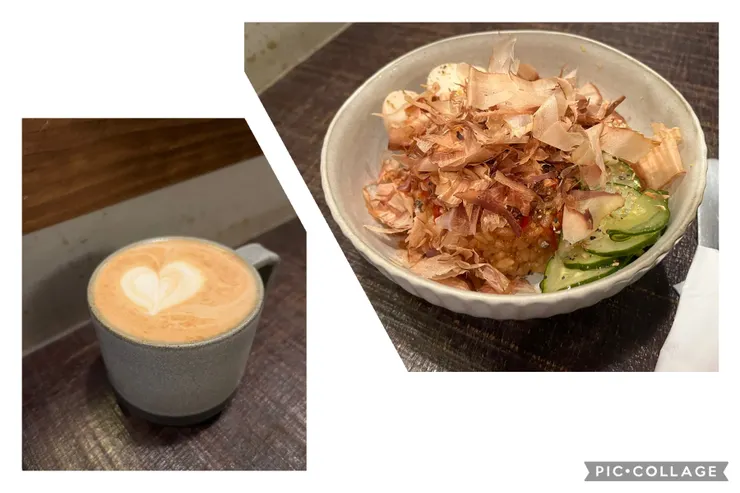 橙酒拿鐵、貓飯。