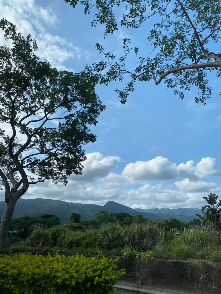 圖片來源:愛鈴 (@eileen.ginsui)