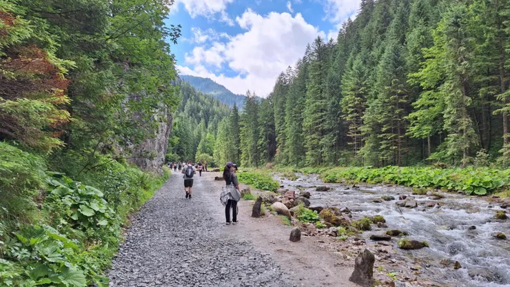 Dolina Kościeliska 步道沿著山谷小溪