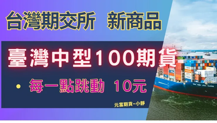 台灣中型100期貨