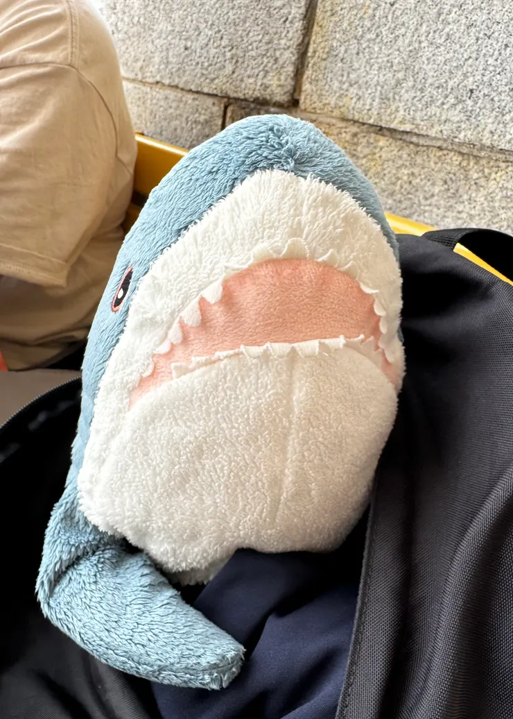 拍攝於2024年10月15ㄖ,韓國 慶州博物館