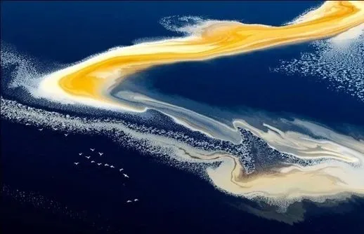 加油，繼續前行，你很了不起！