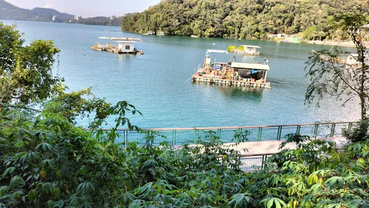阿洛媚橄潭道步道2/Mingling攝
