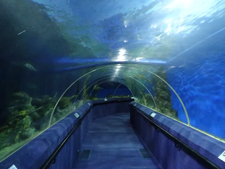 松濤園海底隧道
