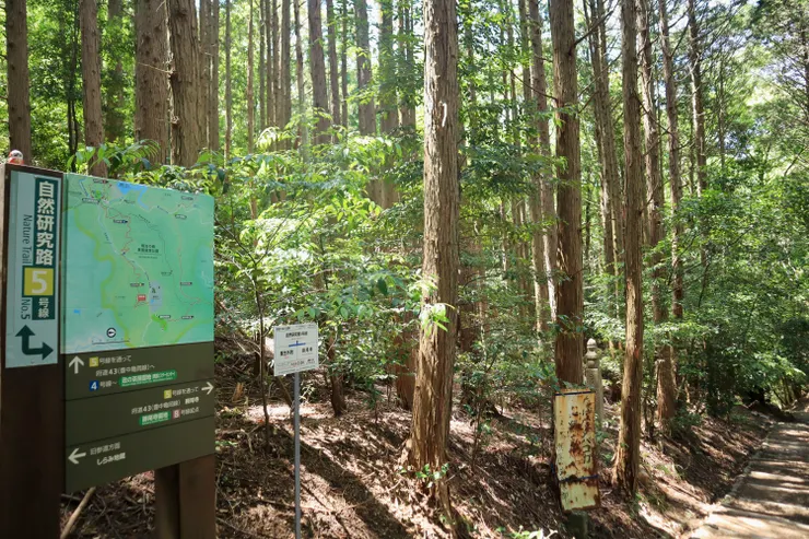 盡頭便是一條橫向步道，從這裡往左轉