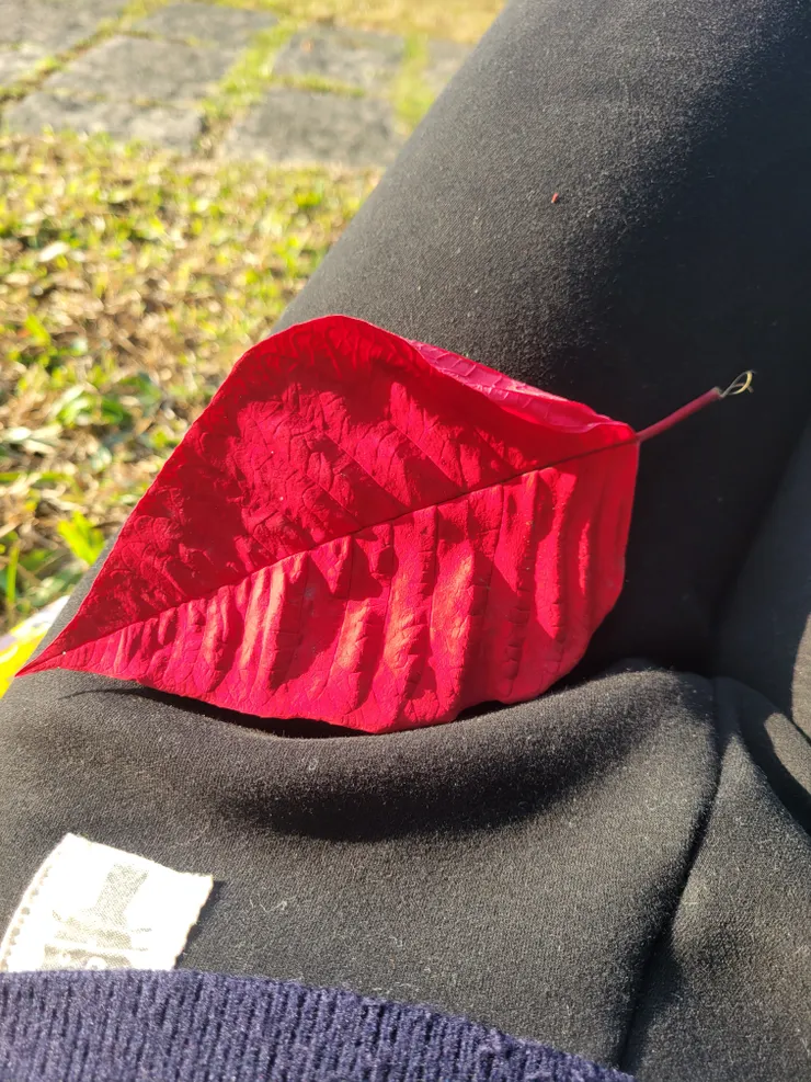 顏色很奇特   通通混一起變成了＾0＾