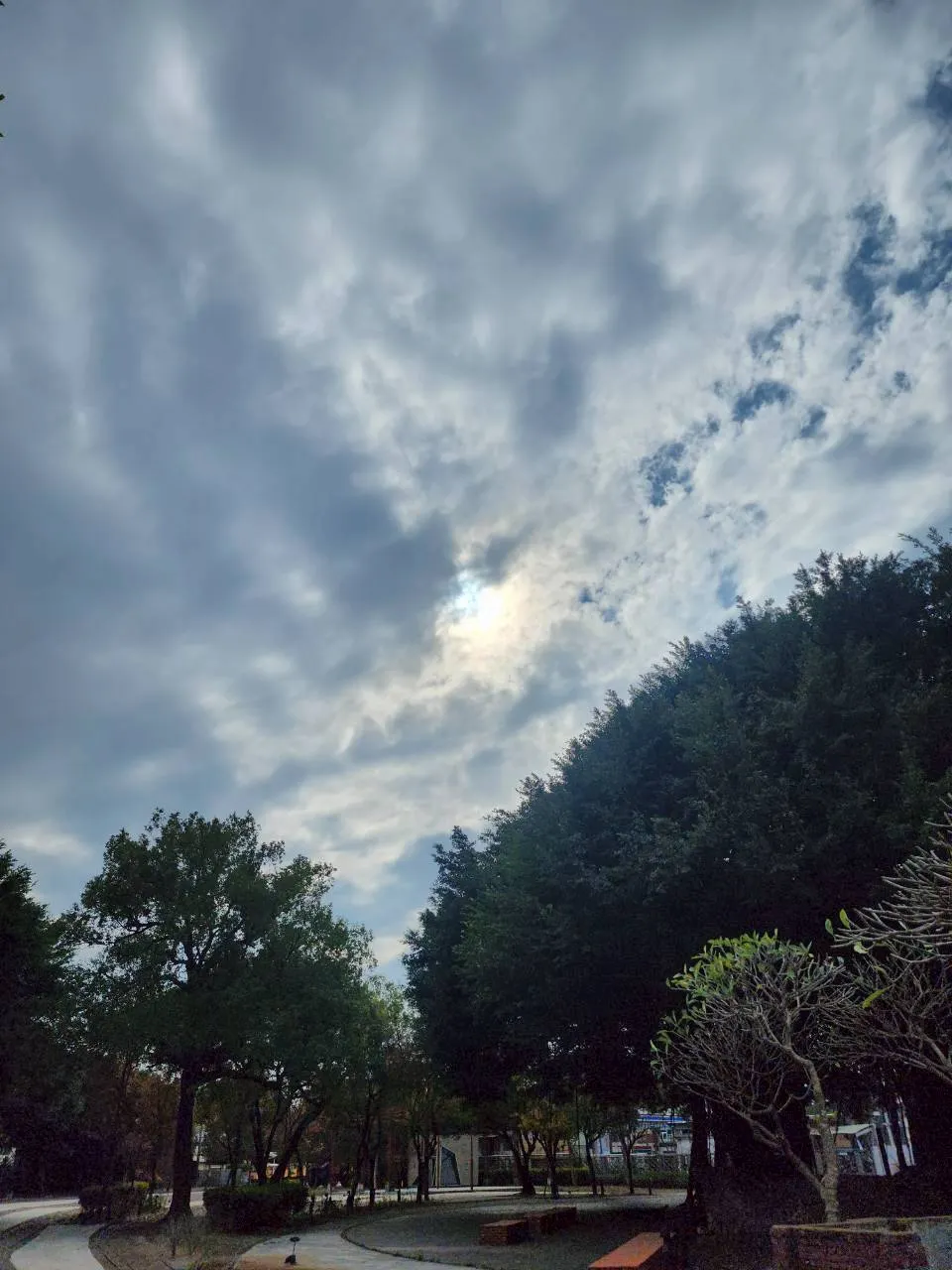 阿金驗光師的沙龍