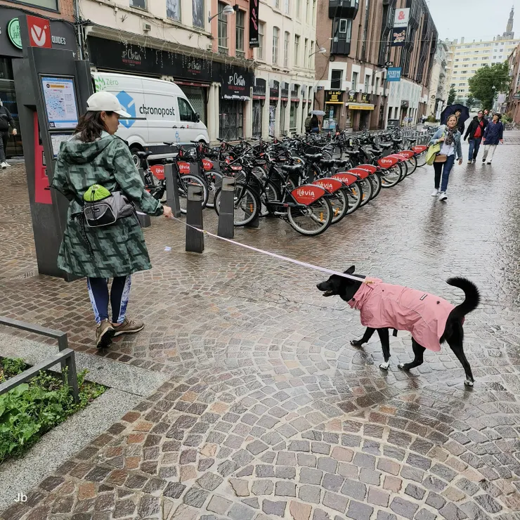 【冒雨去「特力屋」買適用的螺絲，順便買好吃的越南三明治當午餐。】