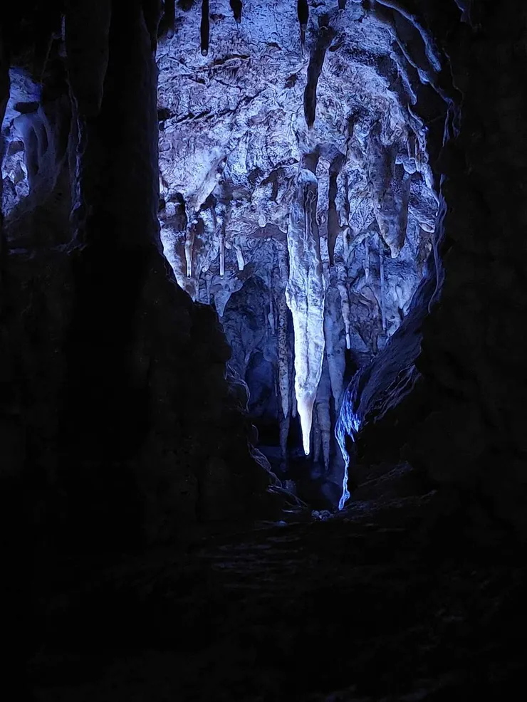 很像水仙洞的樣子，而且鐘乳石柱超多