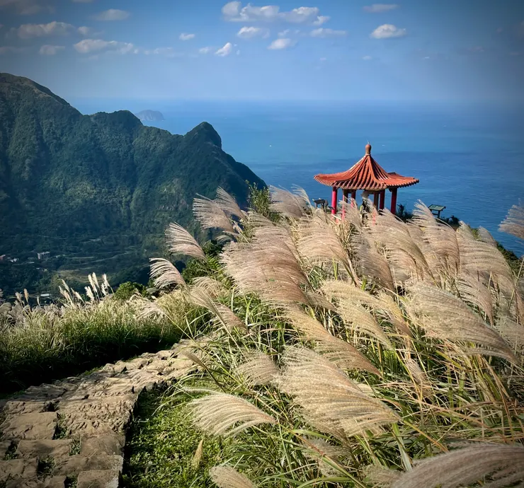 登茶壺山的最後一個涼亭，寶獅亭。茶壺山頂形狀像坐臥的獅子，舊名「獅子岩」，所以這個亭才叫寶「獅」亭。