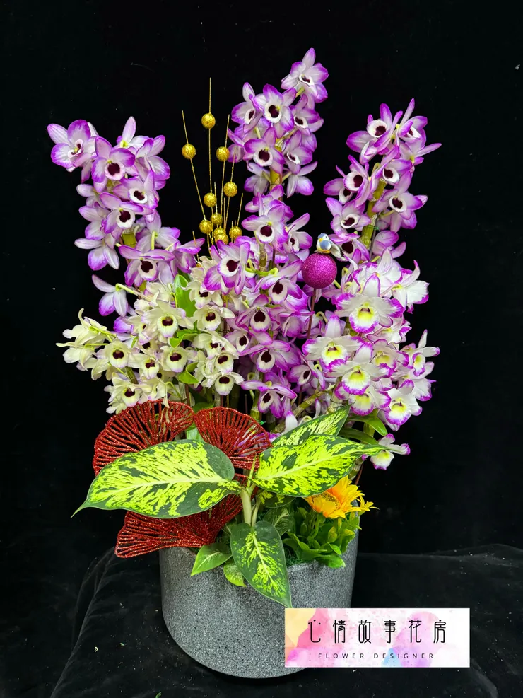 春天最美的賞花選擇——春石斛組合盆栽，為您的生活增添優雅氣息！ 台南心情故事花房