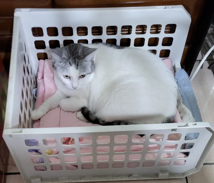 小白.李建崑攝影