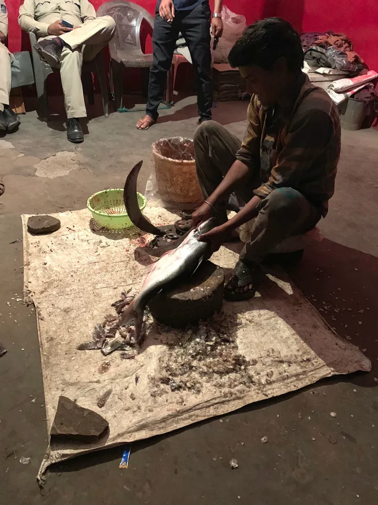 印度魚販的刀子，使用起來很特別！