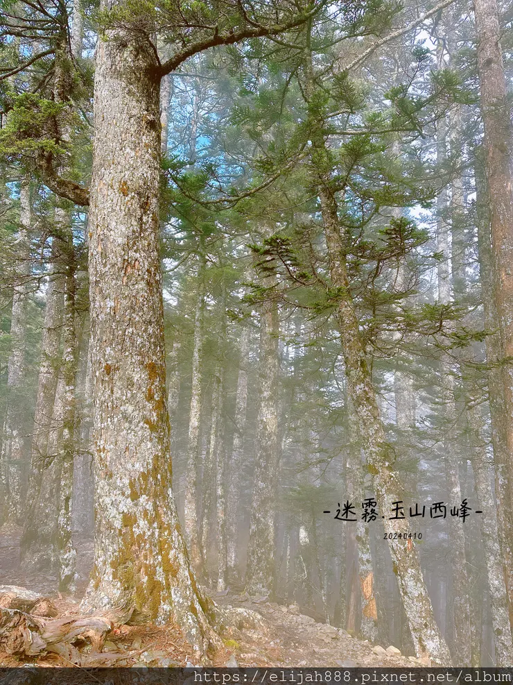 【玉山主峰西峰.兩天兩夜】排雲山莊-玉山西峰/玉山西峰神祠(