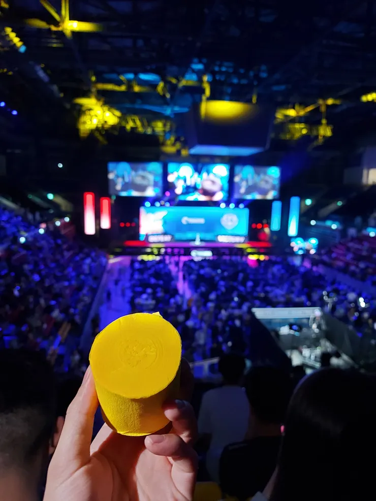 熟悉的爪爪彩帶