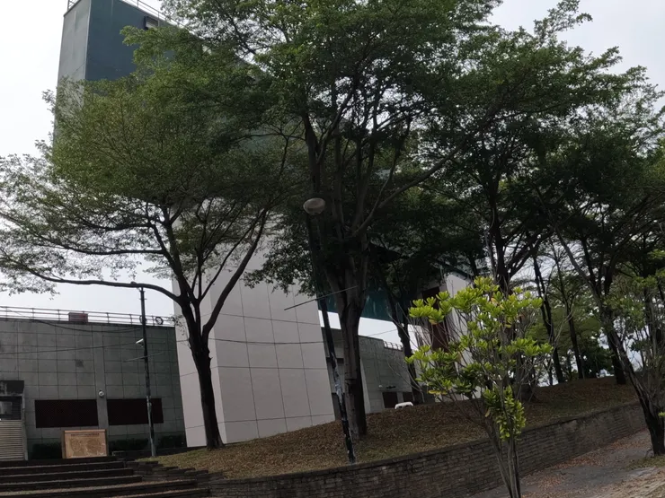 第一次造訪澄清湖棒球場。