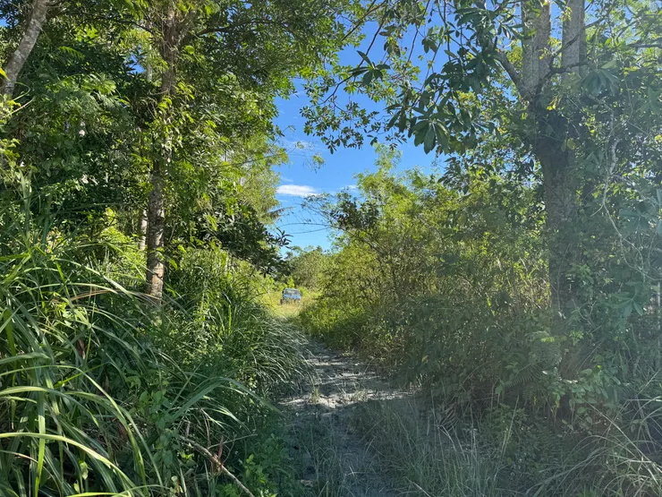 發現阿伯的位置