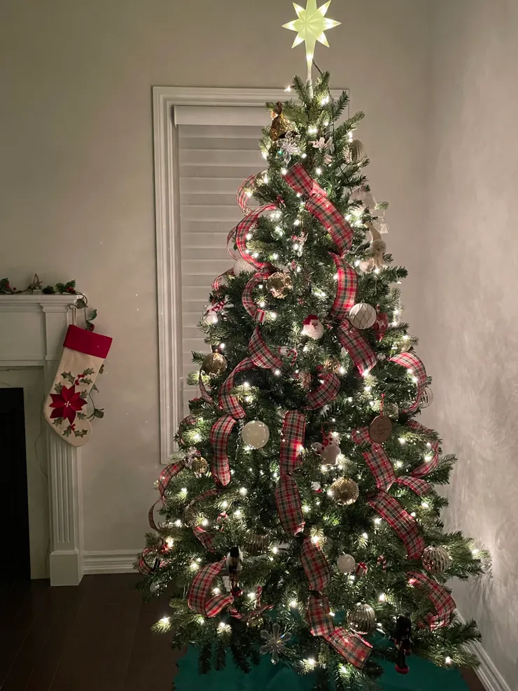 願聖誕樹的點點亮光照耀在您心中。