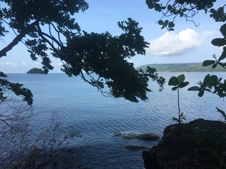 constiitutional position