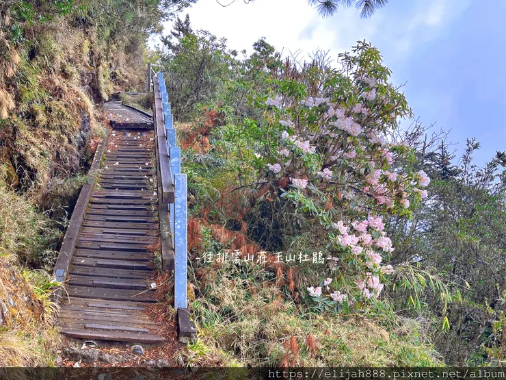 【玉山主峰西峰.兩天兩夜】南投縣信義鄉的望鄉部落艾度民宿/塔