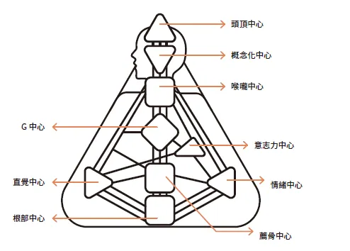 人類圖九大能量中心
