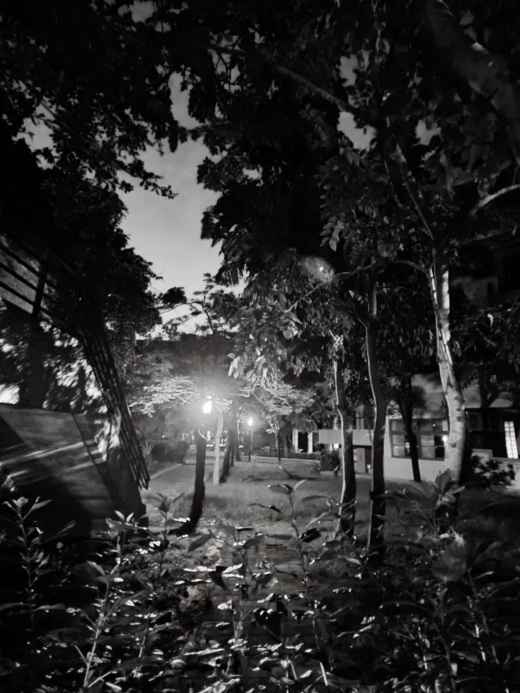 Day 9 就算是黑白的世界。燈,總是那麼美 無法掩蓋