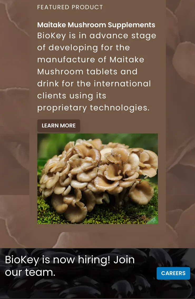 蘑菇之王-舞茸（Maitake）