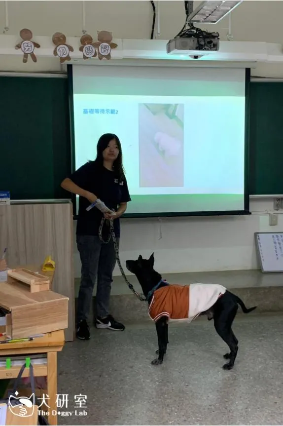 小黑專注看著老師