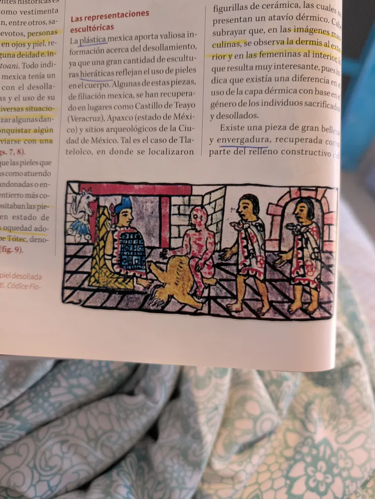 將剛剝好皮的人與皮獻給君主