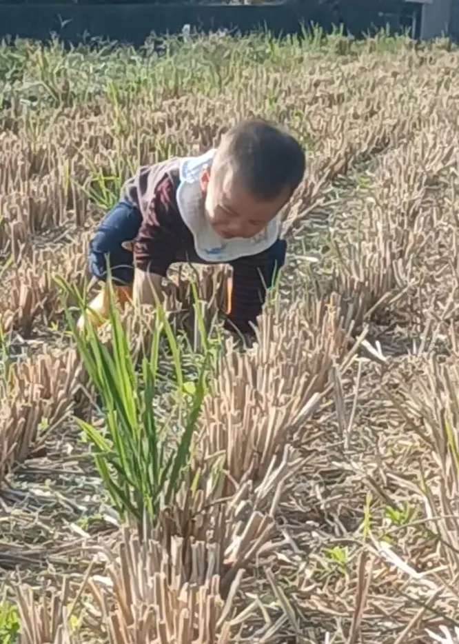 跌倒了，準備好再起身