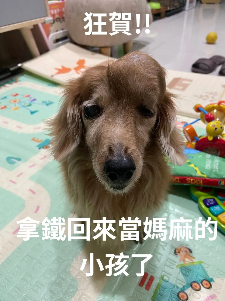照片:拿鐵媽咪提供