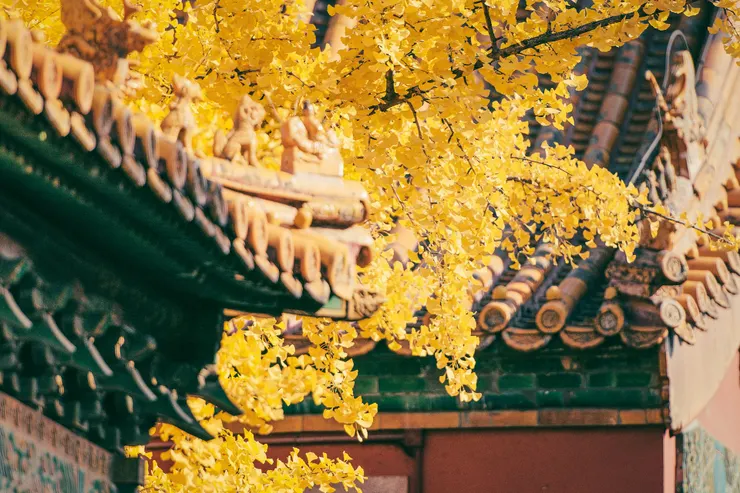  zhang kaiyv/Unsplash