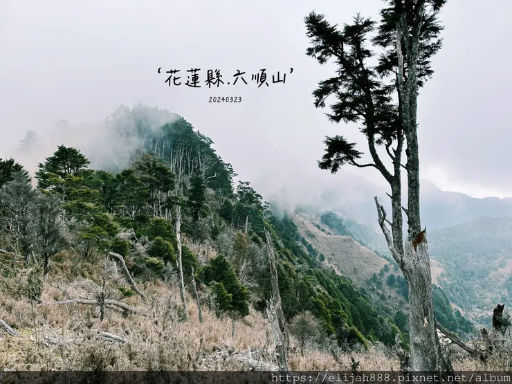 【丹大林道.六順山.七彩湖】六順山.海拔3009公尺/波波草