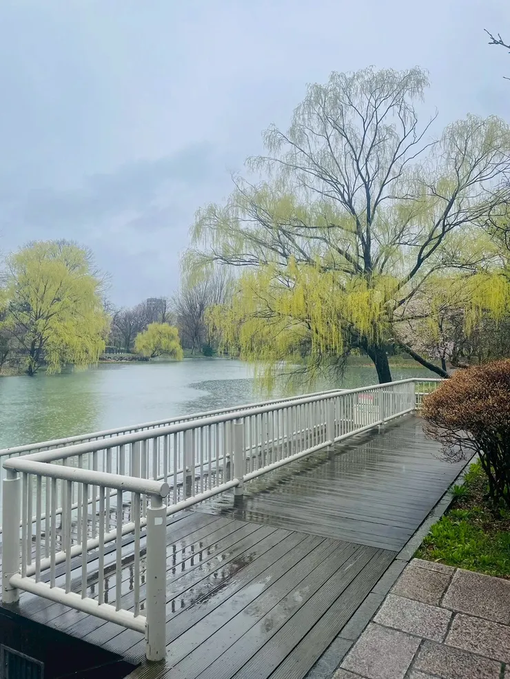 一場雨洗去日常，世界像是鬆了一口氣，也讓人重新呼吸。
