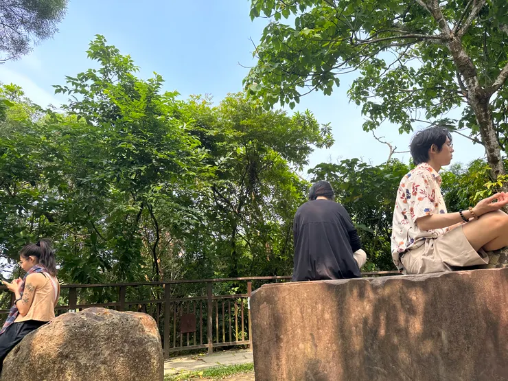 能量廣場冥想中的葛來分多小隊